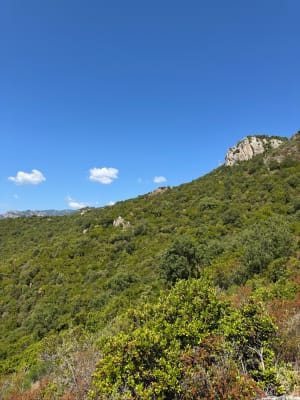 Émetteur de Conca , vue sur le golfe de Pinarellu - Conca - 3