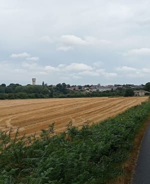 Par le Bois de la Liche et Chaume du Puits - Valence-en-Poitou - 17
