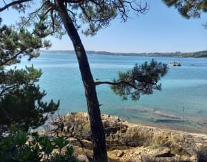 Le grand tour de Carantec - Carantec - 15