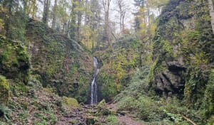 Sur les hauteurs de Lutzelhouse - Urmatt - 3
