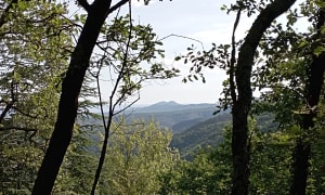 De Gammal à Saint-Ambroix - Molières-sur-Cèze - 6