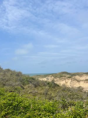 La baie Saint-Jean par les dunes de la Slack - Ambleteuse - 19