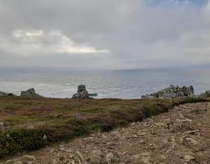 La Pointe du Van - Cléden-Cap-Sizun - 13