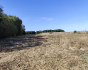 Marée du Fenoulier par l'observatoire des oiseaux Saint Gilles Croix de Vie - Le Fenouiller - 8