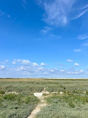 Entre terre et mer dans la baie de Somme et bain d'air iodé - Saint-Valery-sur-Somme - 3