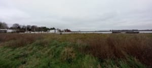 Promenade dans les marais jusqu'au barrage des vallées - Saint-Gilles-Croix-de-Vie - 10