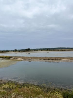 Ile d’Olonne en zijn kwelders - L'Île d'Olonne - 6