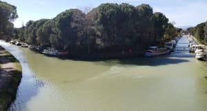 Le Somail, au canal de Jonction - Ginestas - 10