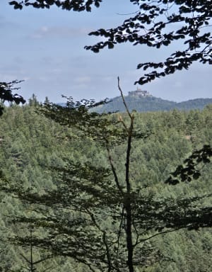 Le col de Howald - Walscheid - 2