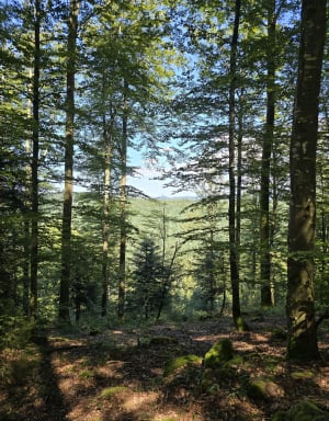 Le col de Howald - Walscheid - 3