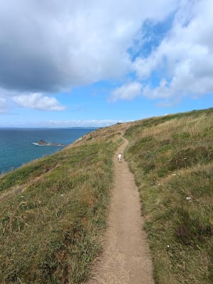Escapade côtière à la Pointe de Tréfeuntec - Plonévez-Porzay - 13