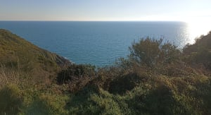 Pointe de Minard - Plouézec - 13