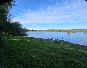 Bois des Cinq Tailles - MICKAEL - 40