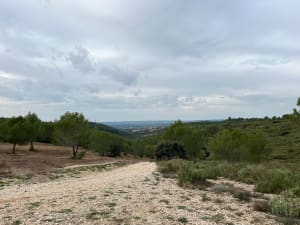 Marche au Montaiguet - Aix-en-Provence - 3