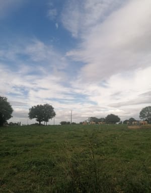 Eveiller ses sens sur les bords du Gabas - Sedzère - 2