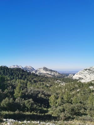 Le Gros Calan - Eygalières - 8