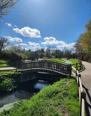 Autour de Douvres - Douvres-la-Délivrande - 11