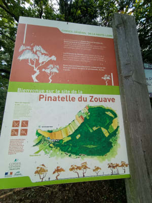 Balade ludique à la Pinatelle du Zouave - Sanssac-l'Église - 9