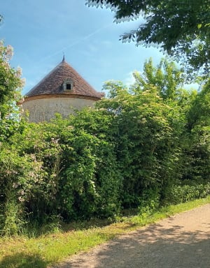 Montmirail - Montmirail - 9
