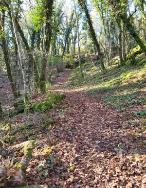 Corcelles-les-Monts et la promenade du Plateau - Corcelles-les-Monts - 9