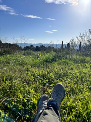 Dans les hauteurs de Cadenet - Cadenet - 7