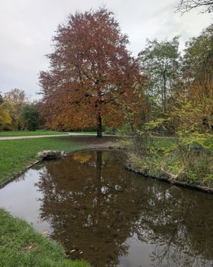 Découvrir à vélo les lacs du Bois de Vincennes - Vincennes - 7