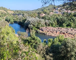 Petite randonnée à Réals et Bois de Veyran - Murviel-lès-Béziers - 13