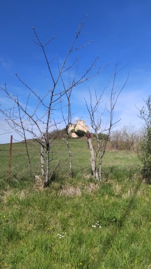 Marche dans la campagne, voie verte, sentier du train - Emilie - 3