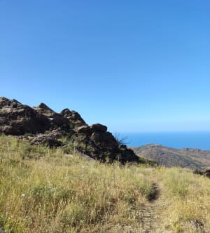 Tour de Querroig - Banyuls-sur-Mer - 8