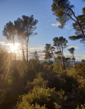 Rando/Trail à Vaucroze-Sorgues - Sorgues - 11