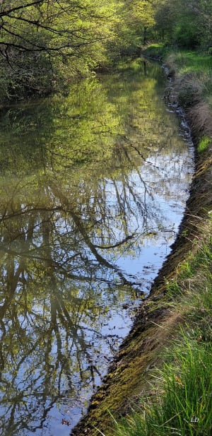 Chemin de Jeanne d'Arc et Etang du Coudray à Bléneau - LAURENCE - 5