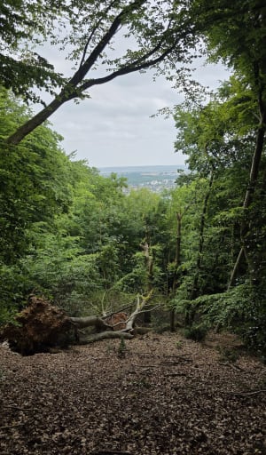 Les grottes et Roches d'Orival - Melanie - 25