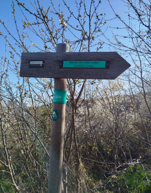 Chemin du Crêt du Loup - Retour Parc Solaure - Virginie - 12