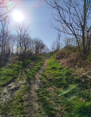 Chemin du Crêt du Loup - Retour Parc Solaure - Virginie - 13