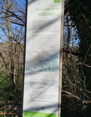 Chemin du Crêt du Loup - Retour Parc Solaure - Virginie - 14