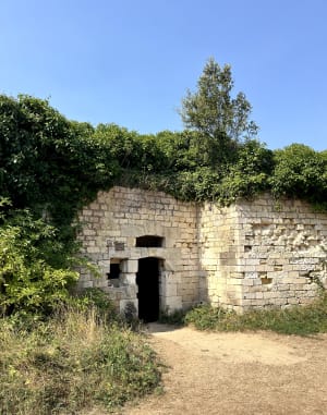 Promenade à Suzac - Meschers-sur-Gironde - 5