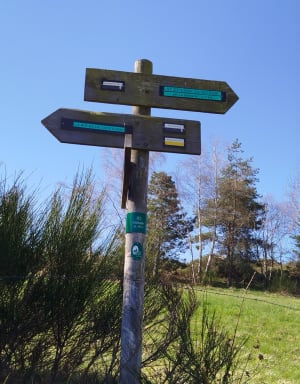 Chemin du Crêt du Loup - Retour Parc Solaure - Virginie - 17