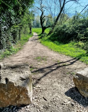 Tour du golf d'Aix-les-Bains - Aix-les-Bains - 5