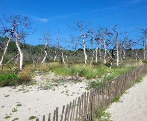 De moerassen van Mousterlin - Fouesnant - 10