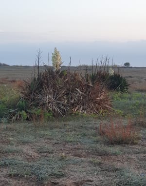 Balade à l’étang de Canet - Saint Cyprien - 19