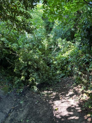 Questembert - sentier des popinettes - Questembert - 9