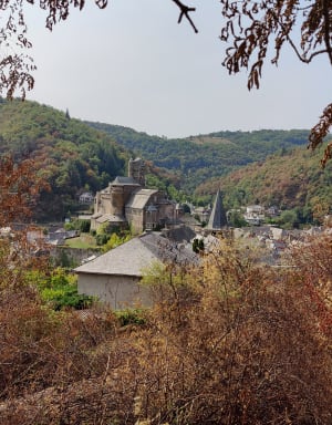 Belle balade en forêt sur les hauteurs d’Estaing - Estaing - 6
