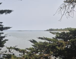 Belle rando en boucle au départ de Brillac - Sarzeau - 8