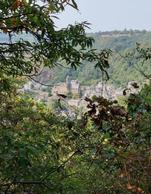 Belle balade en forêt sur les hauteurs d’Estaing - Estaing - 7