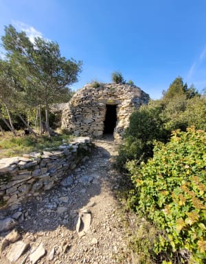 Aramon et balade intrigante en bordure du Rhône - Aramon - 7
