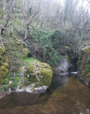 Rand des salamandres - Saint-Péray - 34