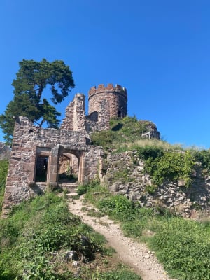 Wandeling langs de drie kastelen in Ribeauvillé - Ribeauvillé - 3
