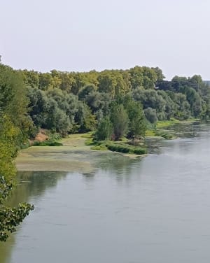 Découverte du patrimoine Agenais - CORINNE - 4