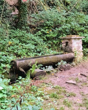 Balade autour de la fontaine du Diable et de la Vierge Noire - Villé - 6