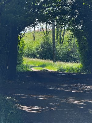 Balade dans les bois à Cuvat et doux chants de la rivière - Cuvat - 8